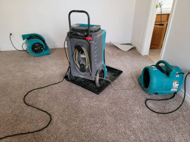 Best Carpet water damage restoration  in Dollar Bay, MI